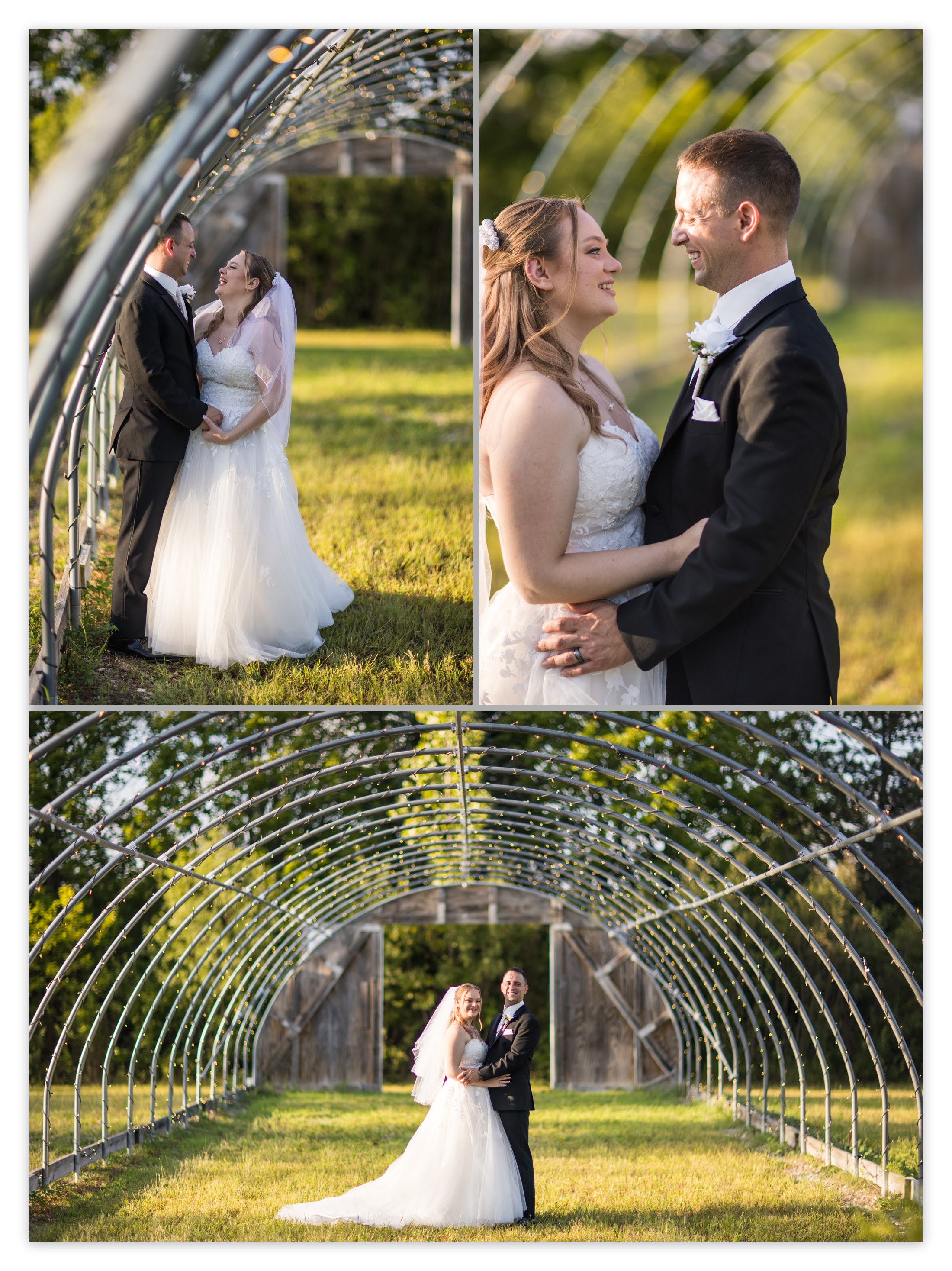 Paige and TJ in greenhouse portraits